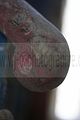 heilanstalt milbitz_089